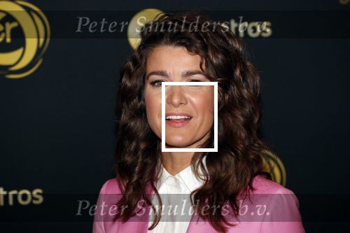 Amsterdam 9 oktober 2019
Uitreiking televizierring 2019 in AFAS Live. Merel Westrik kwam met haar zus