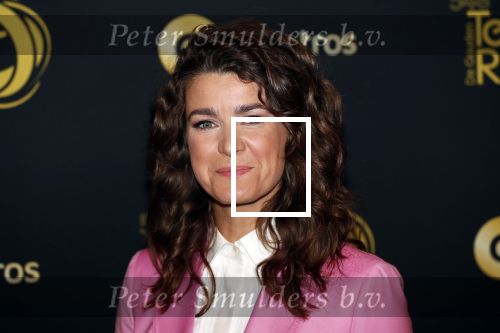 Amsterdam 9 oktober 2019
Uitreiking televizierring 2019 in AFAS Live. Merel Westrik kwam met haar zus