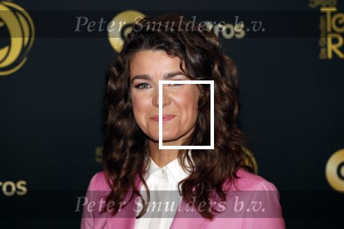 Amsterdam 9 oktober 2019
Uitreiking televizierring 2019 in AFAS Live. Merel Westrik kwam met haar zus