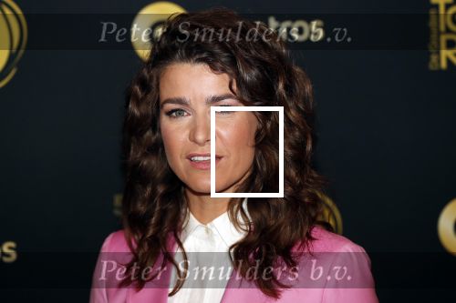 Amsterdam 9 oktober 2019
Uitreiking televizierring 2019 in AFAS Live. Merel Westrik kwam met haar zus