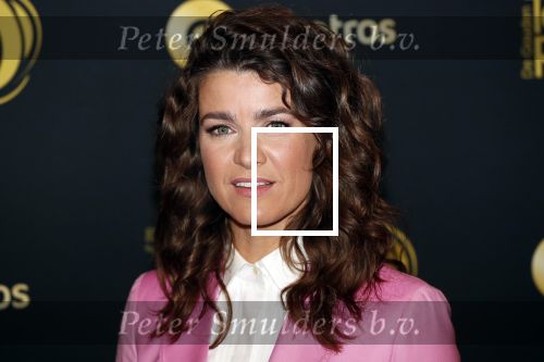 Amsterdam 9 oktober 2019
Uitreiking televizierring 2019 in AFAS Live. Merel Westrik kwam met haar zus