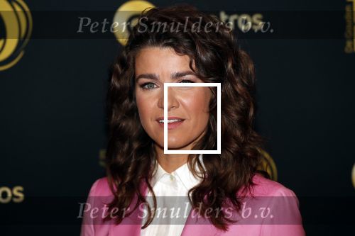 Amsterdam 9 oktober 2019
Uitreiking televizierring 2019 in AFAS Live. Merel Westrik kwam met haar zus