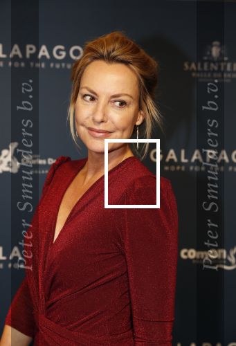 Amsterdam 28 oktober 2019
Premiere Galapagos in Tuschinski. Micky Hoogendijk