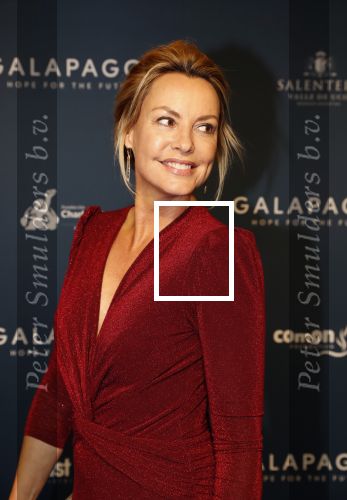 Amsterdam 28 oktober 2019
Premiere Galapagos in Tuschinski. Micky Hoogendijk