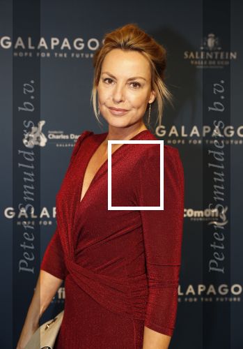 Amsterdam 28 oktober 2019
Premiere Galapagos in Tuschinski. Micky Hoogendijk