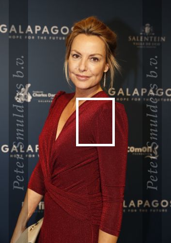 Amsterdam 28 oktober 2019
Premiere Galapagos in Tuschinski. Micky Hoogendijk