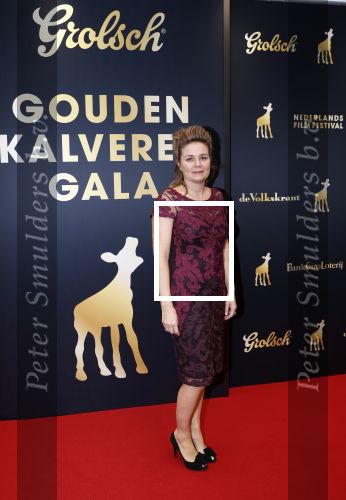 Utrecht 4 oktober 2019
Uitreiking gouden kalveren in schouwburg Utrecht. Mischa Kamp
