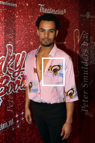 Amsterdam 11 november 2019
Premiere Kinky boots in theater de Meervaart. Mitch Wolterink