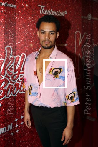 Amsterdam 11 november 2019
Premiere Kinky boots in theater de Meervaart. Mitch Wolterink