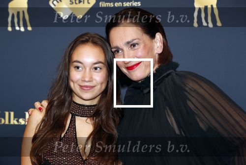 Utrecht 4 oktober 2019
Uitreiking gouden kalveren in schouwburg Utrecht. Monic Hendrickx kwam met haar dochter