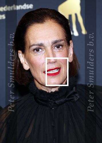 Utrecht 4 oktober 2019
Uitreiking gouden kalveren in schouwburg Utrecht. Monic Hendrickx kwam met haar dochter