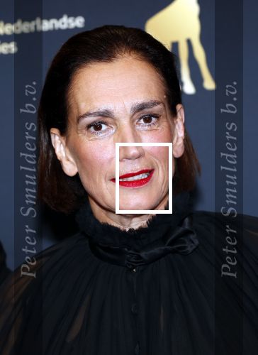 Utrecht 4 oktober 2019
Uitreiking gouden kalveren in schouwburg Utrecht. Monic Hendrickx kwam met haar dochter