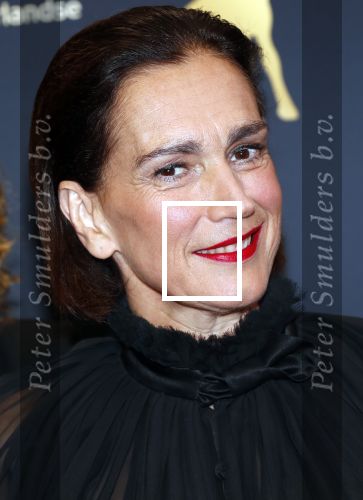 Utrecht 4 oktober 2019
Uitreiking gouden kalveren in schouwburg Utrecht. Monic Hendrickx kwam met haar dochter