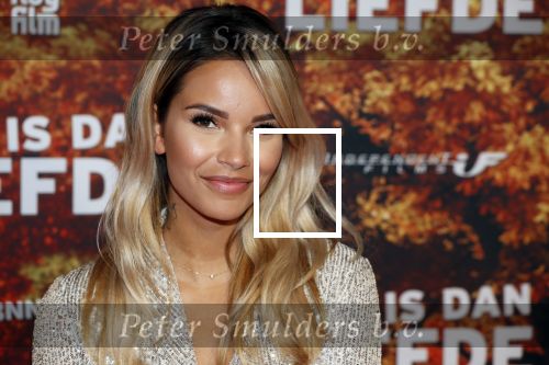 Amsterdam 14 oktober 2019
Premiere Wat is dan liefde in Tuschinski. Monica Geuze kwam met partner Lars Veldwijk