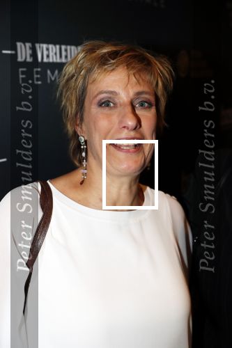 Amsterdam 6 november 2019
Premiere de verleiders in het nieuwe deLamar theater. Mylene dâ€Anjou