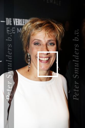 Amsterdam 6 november 2019
Premiere de verleiders in het nieuwe deLamar theater. Mylene dâ€Anjou