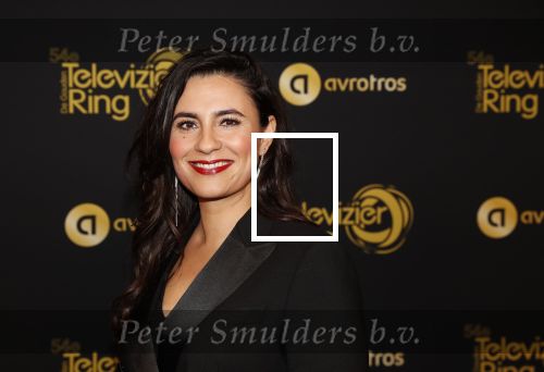 Amsterdam 9 oktober 2019
Uitreiking televizierring 2019 in AFAS Live. Nadia Moussaid