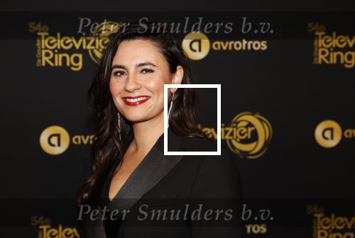 Amsterdam 9 oktober 2019
Uitreiking televizierring 2019 in AFAS Live. Nadia Moussaid