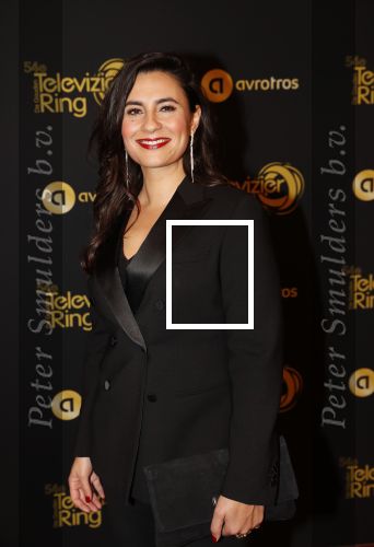 Amsterdam 9 oktober 2019
Uitreiking televizierring 2019 in AFAS Live. Nadia Moussaid