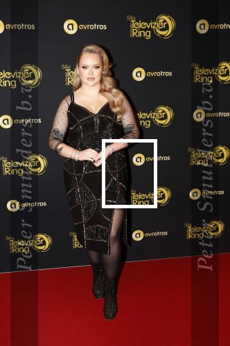 Amsterdam 9 oktober 2019
Uitreiking televizierring 2019 in AFAS Live. Nikkie Tutorials