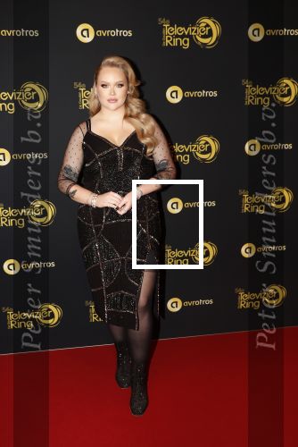 Amsterdam 9 oktober 2019
Uitreiking televizierring 2019 in AFAS Live. Nikkie Tutorials
