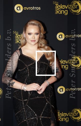 Amsterdam 9 oktober 2019
Uitreiking televizierring 2019 in AFAS Live. Nikkie Tutorials