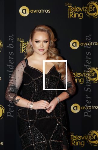 Amsterdam 9 oktober 2019
Uitreiking televizierring 2019 in AFAS Live. Nikkie Tutorials