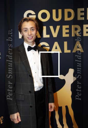 Utrecht 4 oktober 2019
Uitreiking gouden kalveren in schouwburg Utrecht. Nils Verkooijen