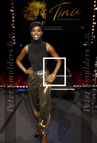Utrecht 21 oktober 2019
Castpresentatie Tina Turner Musical, Nyassa Alberta