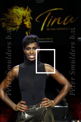 Utrecht 21 oktober 2019
Castpresentatie Tina Turner Musical, Nyassa Alberta