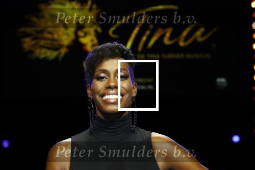 Utrecht 21 oktober 2019
Castpresentatie Tina Turner Musical, Nyassa Alberta