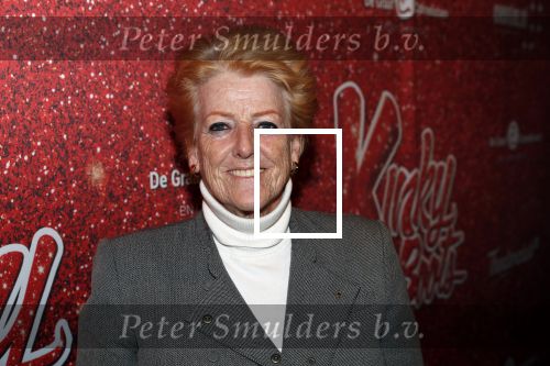 Amsterdam 11 november 2019
Premiere Kinky boots in theater de Meervaart. pamela Teves