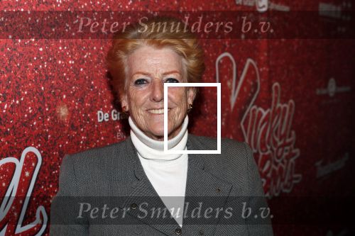 Amsterdam 11 november 2019
Premiere Kinky boots in theater de Meervaart. pamela Teves