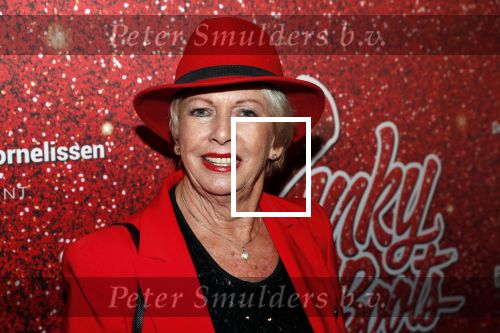 Amsterdam 11 november 2019
Premiere Kinky boots in theater de Meervaart. Ria Valk met Jacques d Ancona
