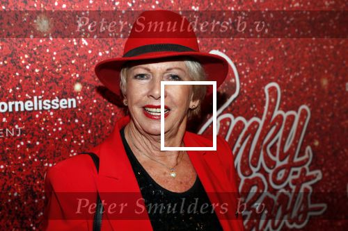 Amsterdam 11 november 2019
Premiere Kinky boots in theater de Meervaart. Ria Valk met Jacques d Ancona