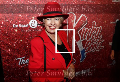 Amsterdam 11 november 2019
Premiere Kinky boots in theater de Meervaart. Ria Valk met Jacques d Ancona