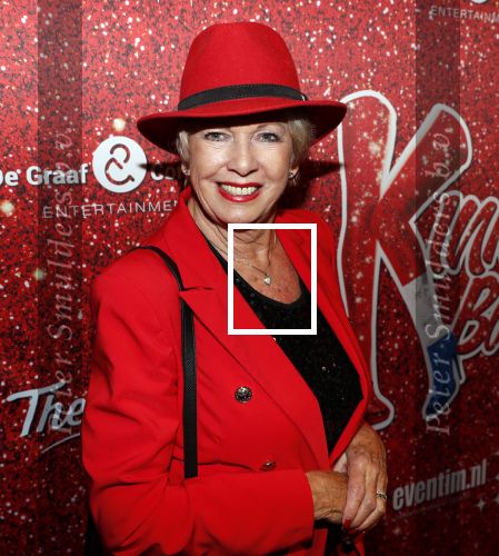 Amsterdam 11 november 2019
Premiere Kinky boots in theater de Meervaart. Ria Valk met Jacques d Ancona