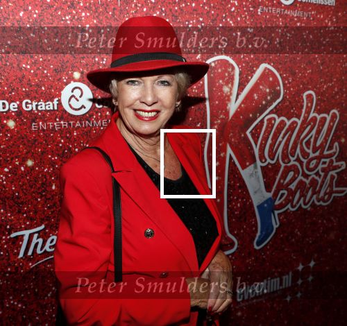 Amsterdam 11 november 2019
Premiere Kinky boots in theater de Meervaart. Ria Valk met Jacques d Ancona