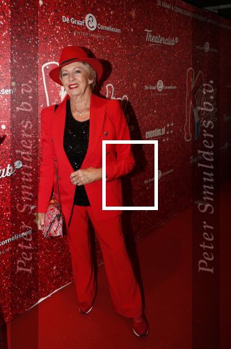 Amsterdam 11 november 2019
Premiere Kinky boots in theater de Meervaart. Ria Valk met Jacques d Ancona
