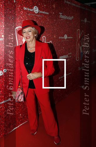 Amsterdam 11 november 2019
Premiere Kinky boots in theater de Meervaart. Ria Valk met Jacques d Ancona