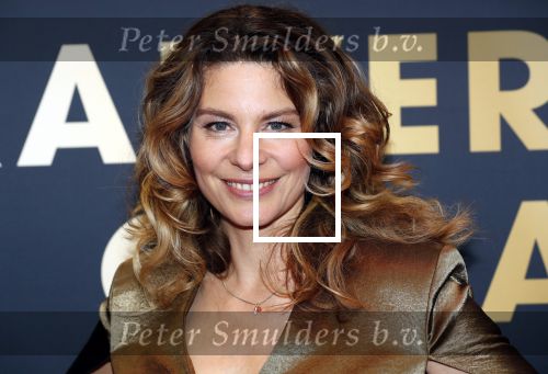 Utrecht 4 oktober 2019
Uitreiking gouden kalveren in schouwburg Utrecht. Rifka Lodeizen kwam met haar man en dochter