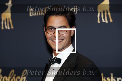 Utrecht 4 oktober 2019
Uitreiking gouden kalveren in schouwburg Utrecht. Rob Jetten kwam met een kennis