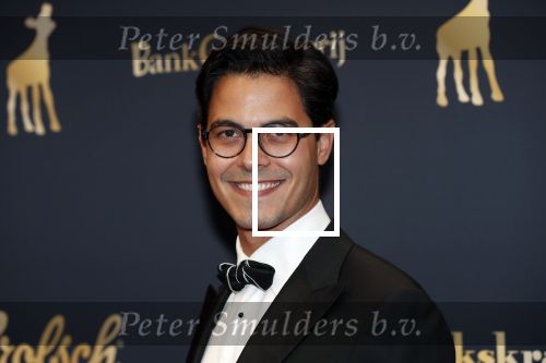 Utrecht 4 oktober 2019
Uitreiking gouden kalveren in schouwburg Utrecht. Rob Jetten kwam met een kennis