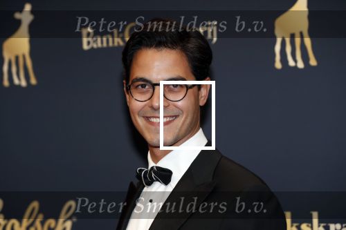 Utrecht 4 oktober 2019
Uitreiking gouden kalveren in schouwburg Utrecht. Rob Jetten kwam met een kennis