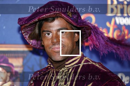 Amsterdam 5 oktober 2019
Premiere Sinterklaasfilm in pathe Arena . Roel Dirven