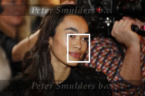 Amsterdam 12 november 2019
Presentatie en opening winkel Shoeby van Fred v Leer en Nicolette v Dam.
Romy Monteiro