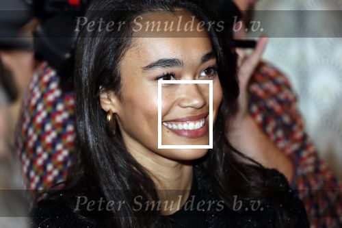 Amsterdam 12 november 2019
Presentatie en opening winkel Shoeby van Fred v Leer en Nicolette v Dam.
Romy Monteiro