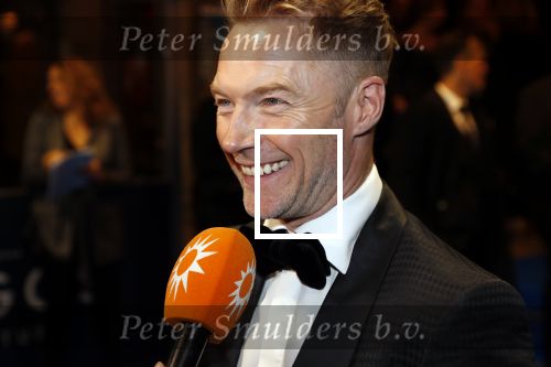 Amsterdam 28 oktober 2019
Premiere Galapagos in Tuschinski. Ronan Keating