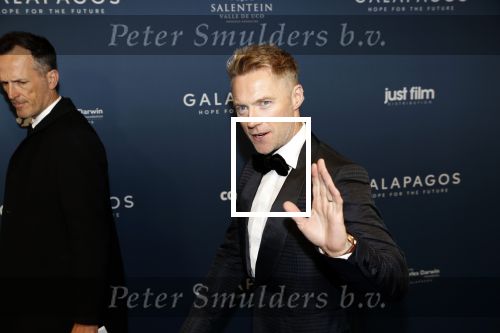 Amsterdam 28 oktober 2019
Premiere Galapagos in Tuschinski. Ronan Keating