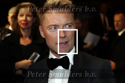Amsterdam 28 oktober 2019
Premiere Galapagos in Tuschinski. Ronan Keating